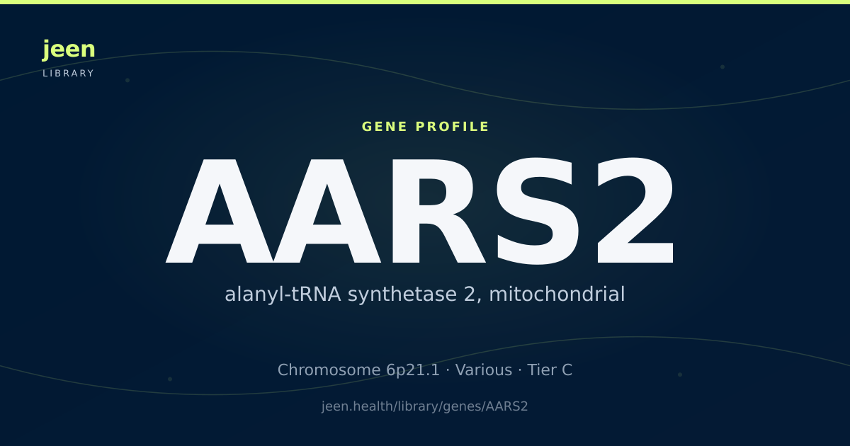 Function Aars AARS2 Gene: Function, Variants & Mitochondrial Disorders | Jeen Health