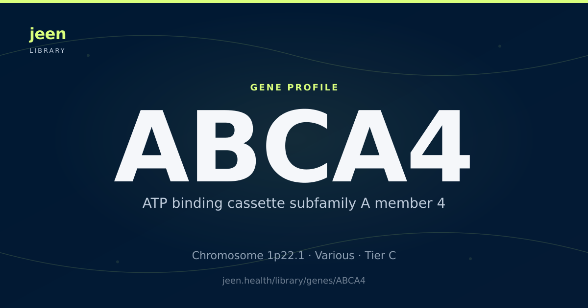 ABCA4 Gene: Function, Variants & Stargardt Disease | Jeen Health