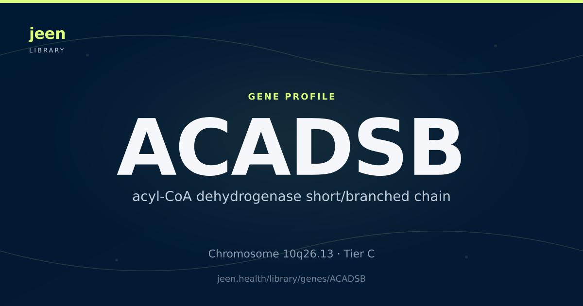 Acadsb ACADSB Gene: Function, Variants & SBCAD Deficiency | Jeen Health
