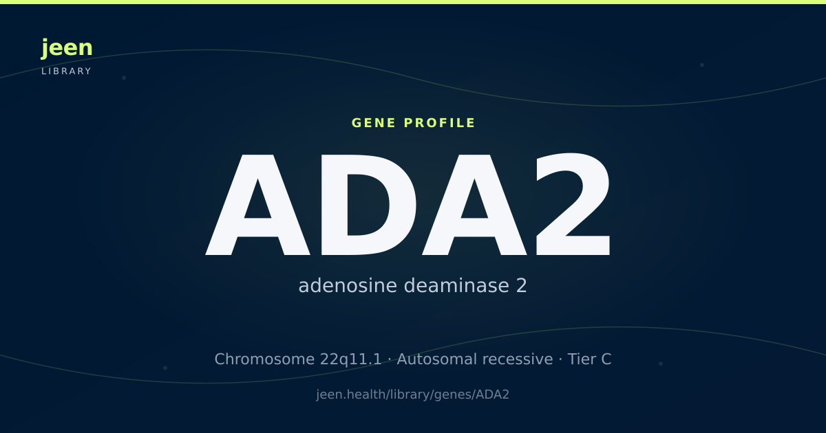 ADA2 Gene: Function, Variants & DADA2 | Jeen Health