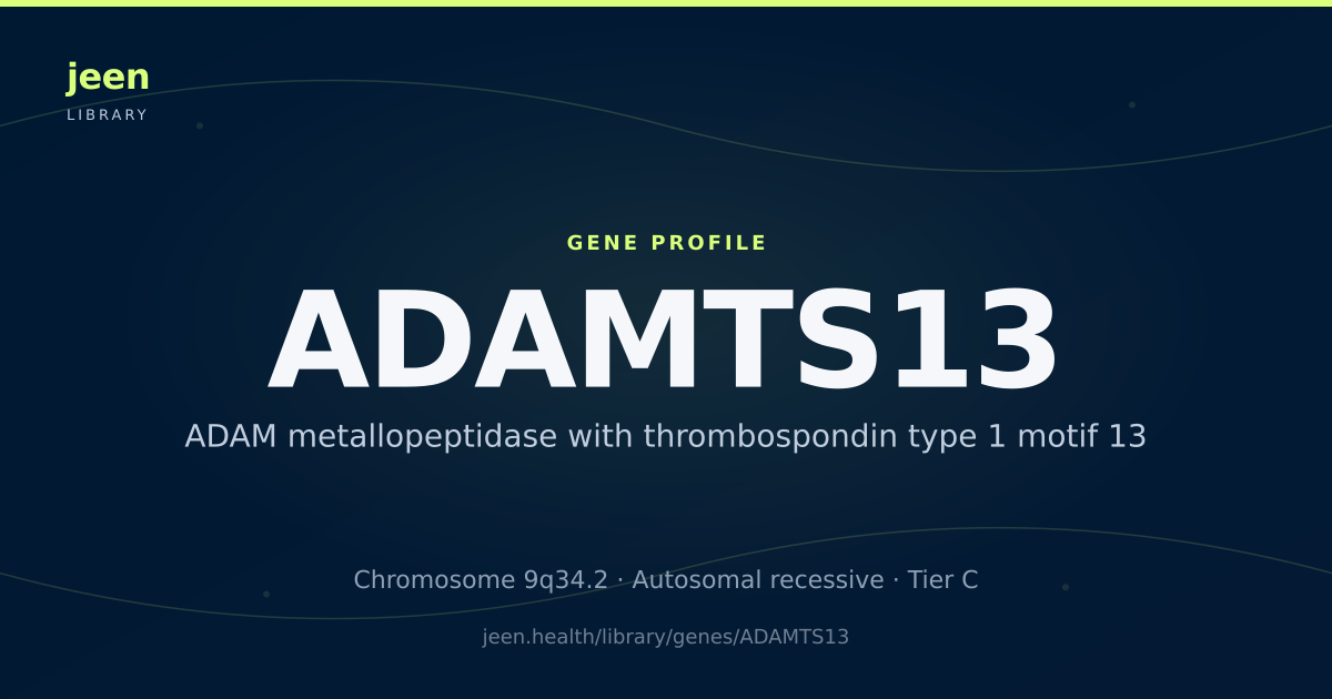 ADAMTS13 Gene: Function, Variants & TTP | Jeen Health
