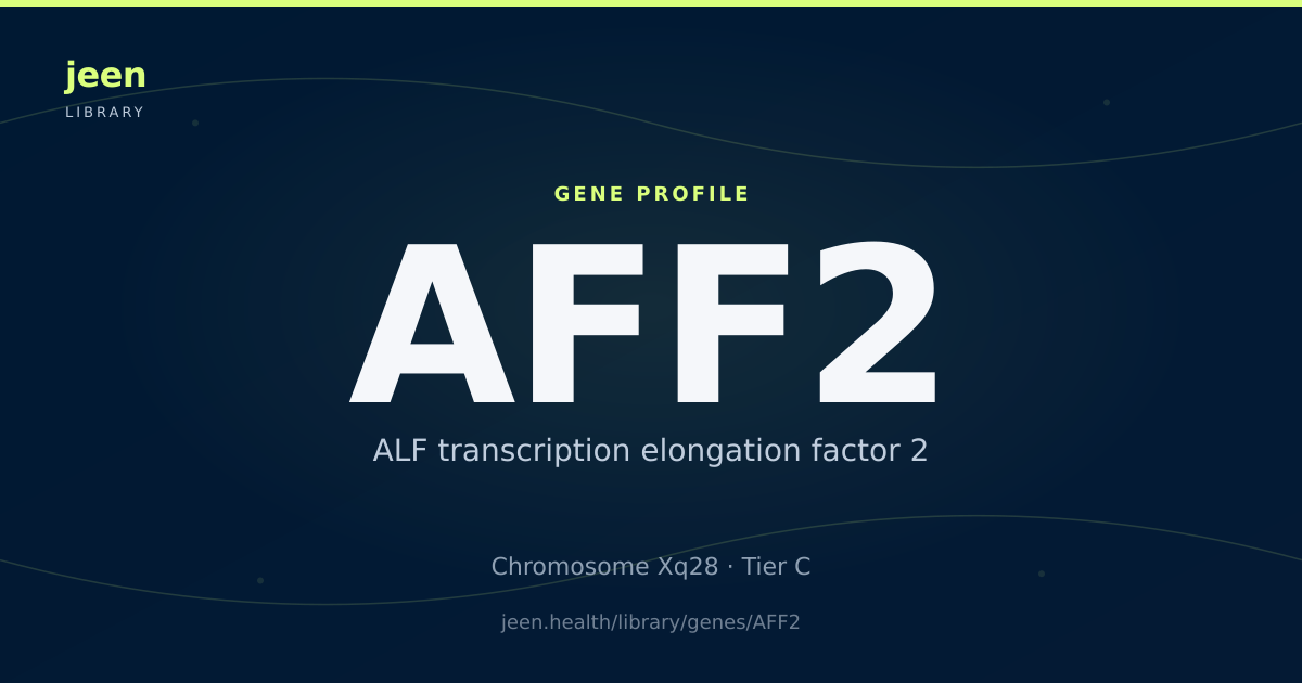 AFF2 Gene: Function, Variants & Fragile XE Syndrome | Jeen Health