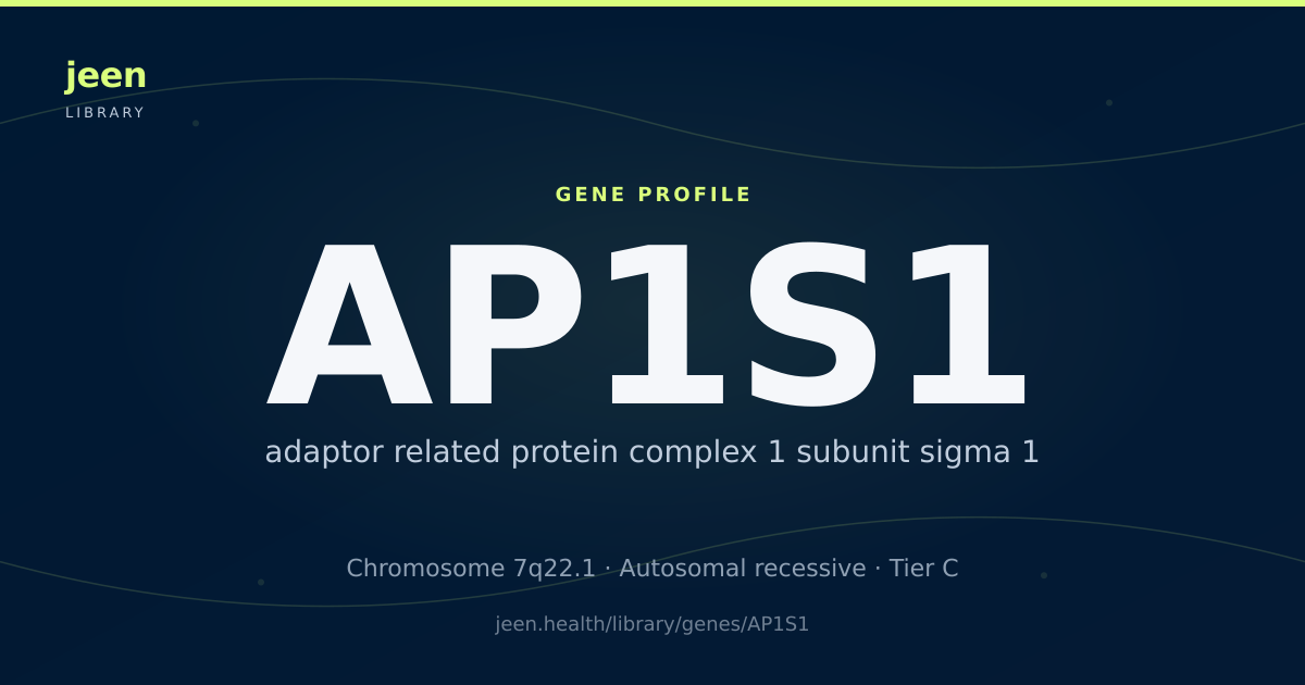 AP1S1 Gene: Function, Variants & Inherited Conditions | Jeen Health