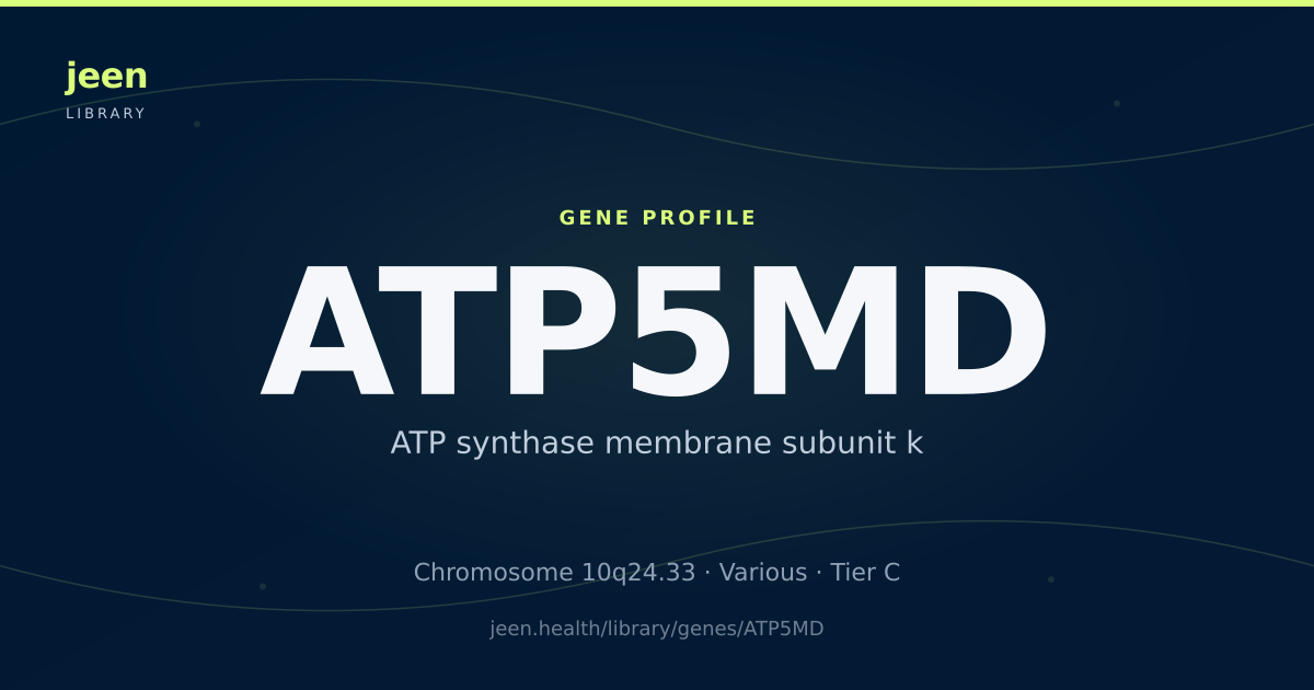 ATP5MD Gene: Function, Variants & Mitochondrial Energy | Jeen Health