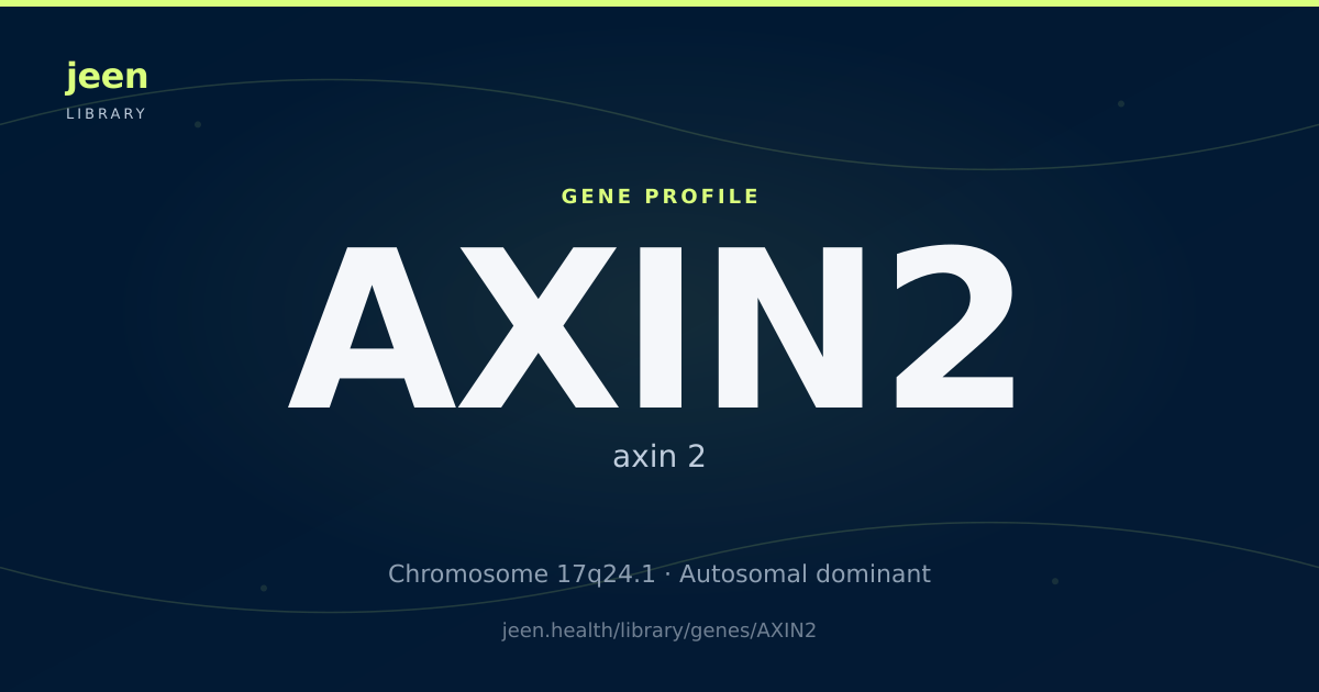 AXIN2 Gene: Function, Variants & Cancer Predisposition | Jeen Health