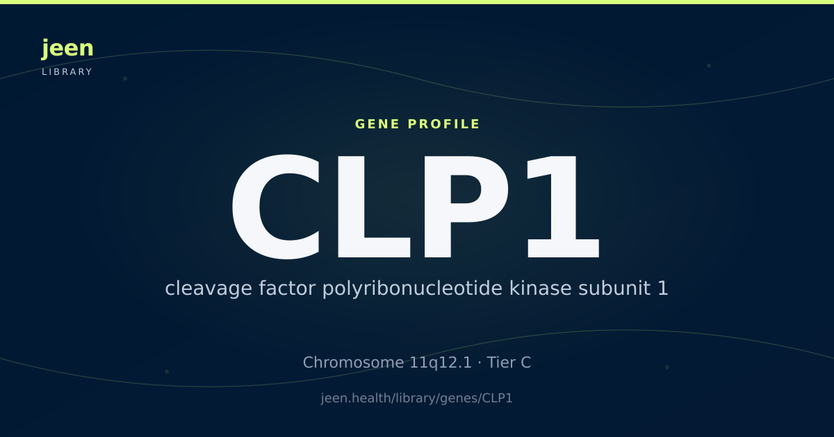 CLP1 Gene: Function, Variants & Clinical Significance | Jeen Health