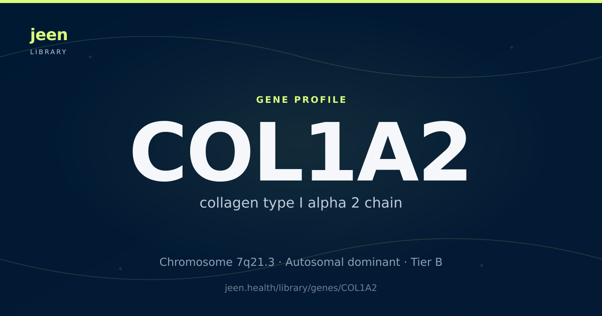 COL1A2 Gene: Function, Variants & Osteogenesis Imperfecta | Jeen Health