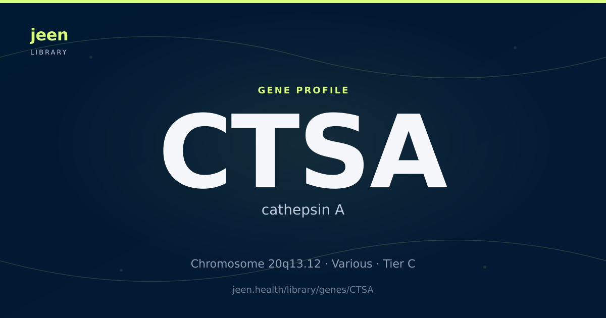 CTSA Gene: Function, Variants & Galactosialidosis | Jeen Health