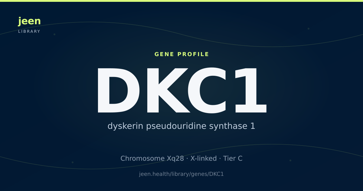 DKC1 Gene: Function, Variants & Dyskeratosis Congenita | Jeen Health