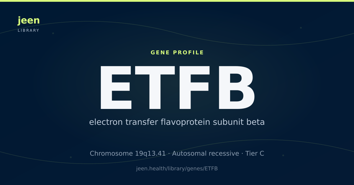 ETFB Gene: Function, Variants & MADD | Jeen Health