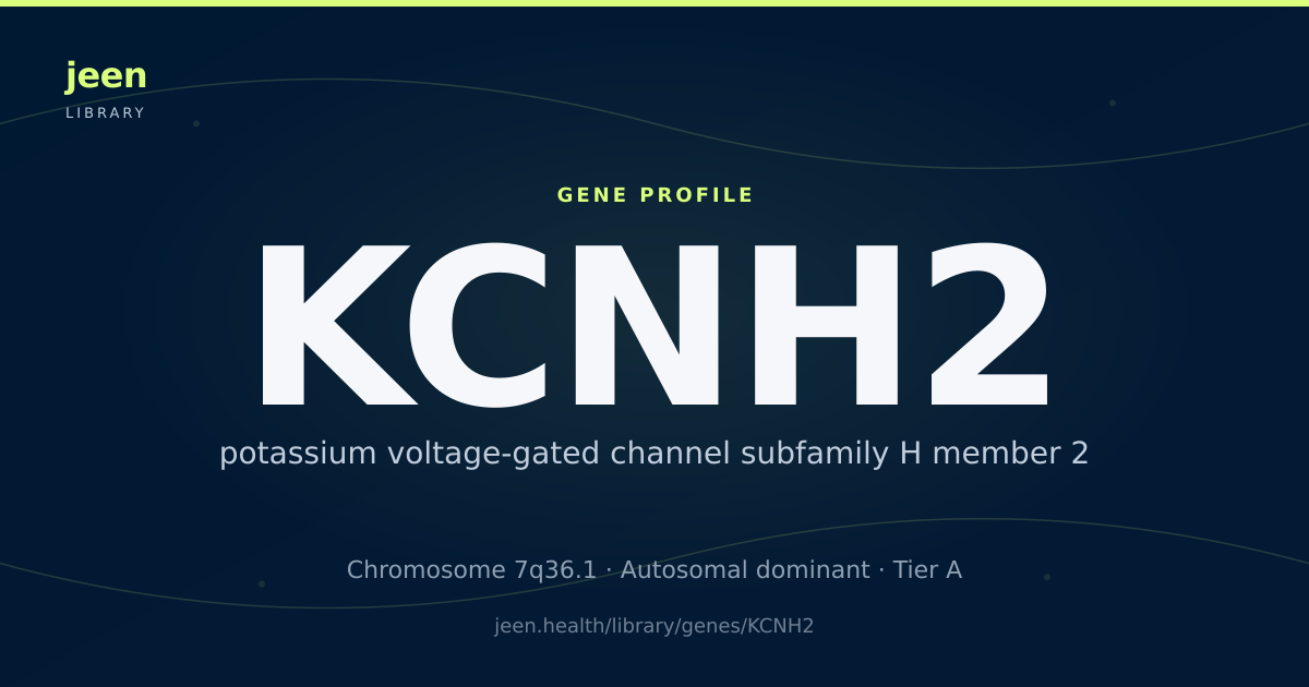 KCNH2 Gene: Function, Variants & Long QT Syndrome | Jeen Health
