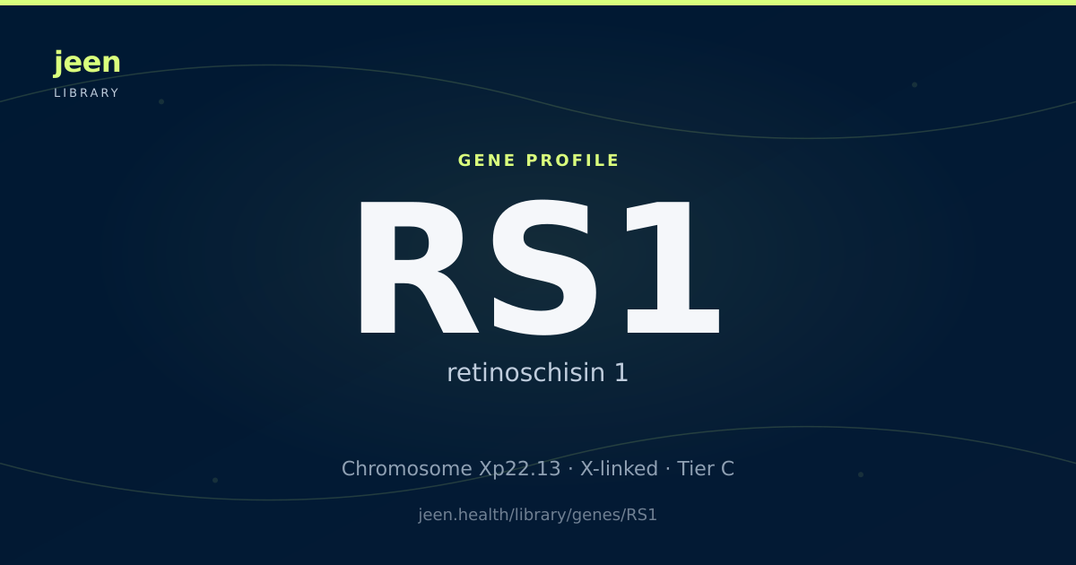RS1 Gene: Function, Variants & X-linked Juvenile Retinoschisis | Jeen ...