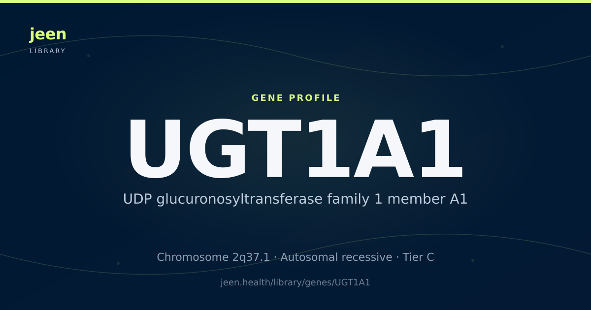 UGT1A1 Gene: Function, Variants & Gilbert Syndrome | Jeen Health