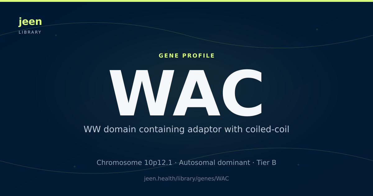 WAC Gene: Function, Variants & Neurological Conditions | Jeen Health